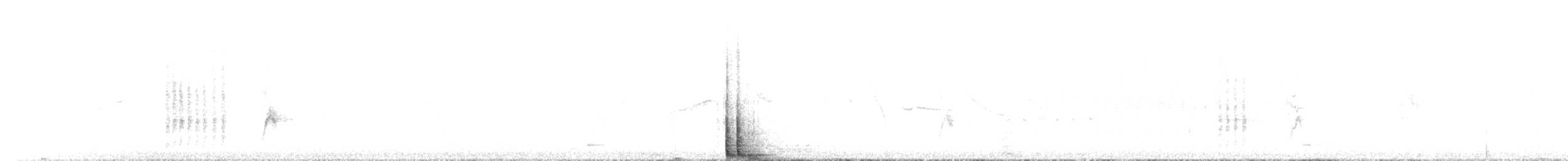 Magellanic Woodpecker - ML646645594