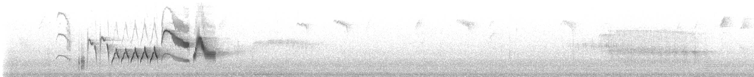 Southern House Wren - ML646645875