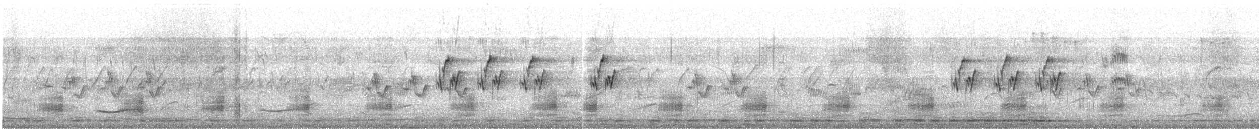 Canard à bec tacheté - ML646646155