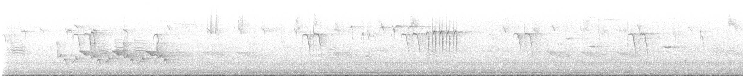 Carolina Wren - ML646646276