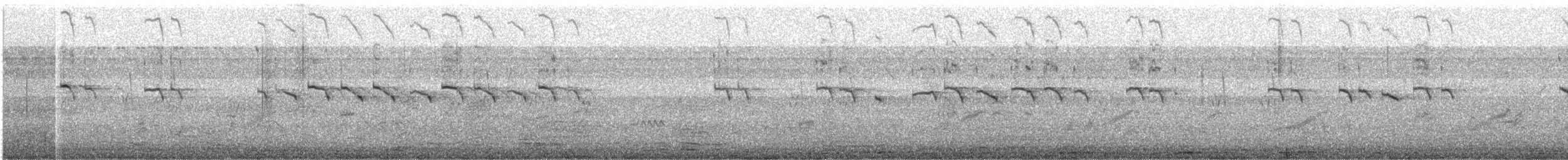 Cratérope affin - ML646646351