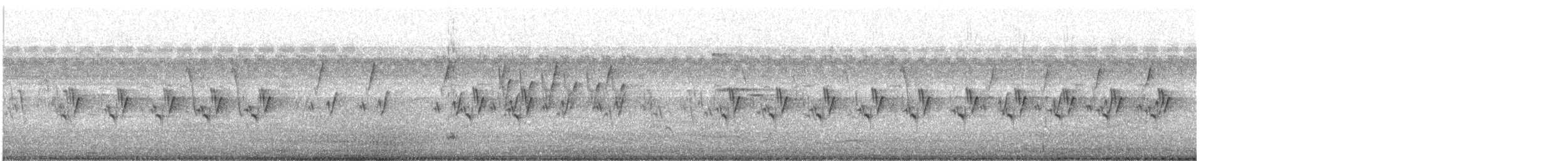 Ashy Prinia - ML646646494