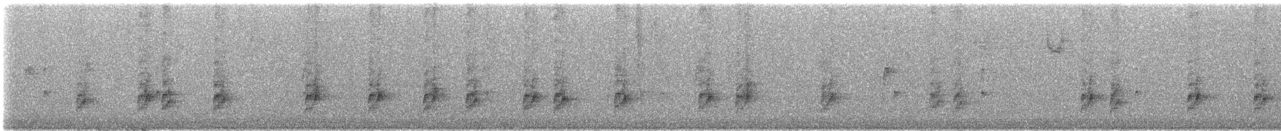 Carolina Wren - ML646646544