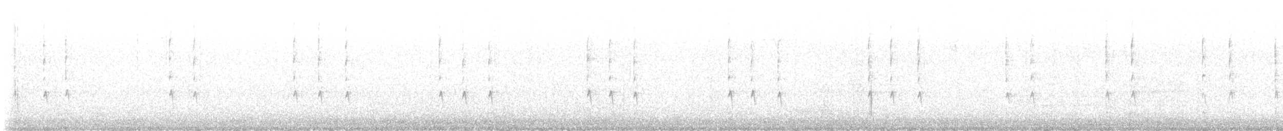 Winter Wren - ML646646564