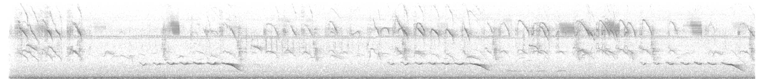 Common Iora - ML646646596