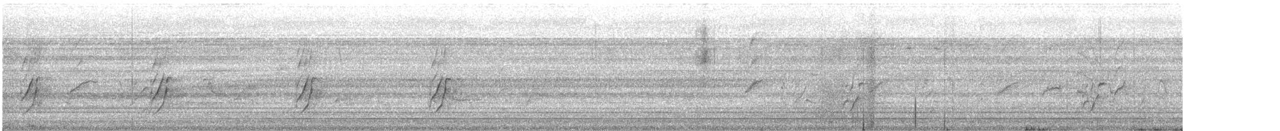 Perruche à tête prune - ML646646697