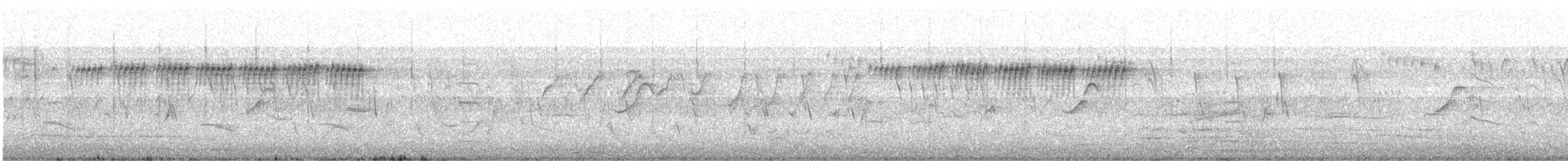 Jerdon's Bushlark - ML646646771