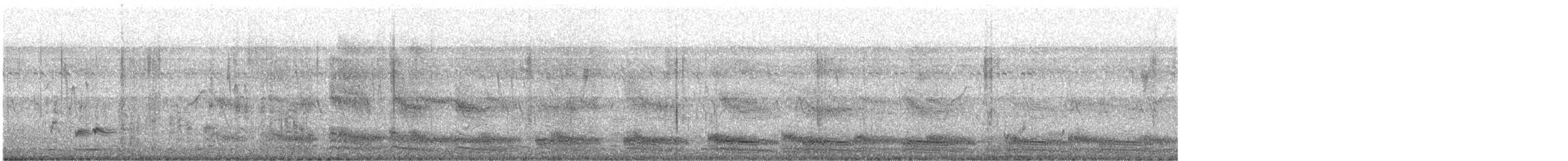 White-breasted Waterhen - ML646647202