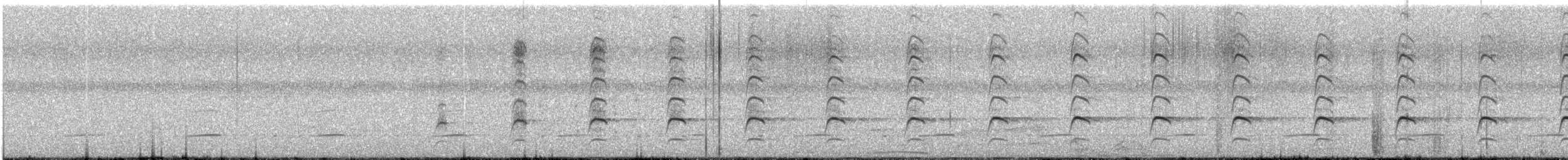 Corredor Escamoso Grande - ML646647506