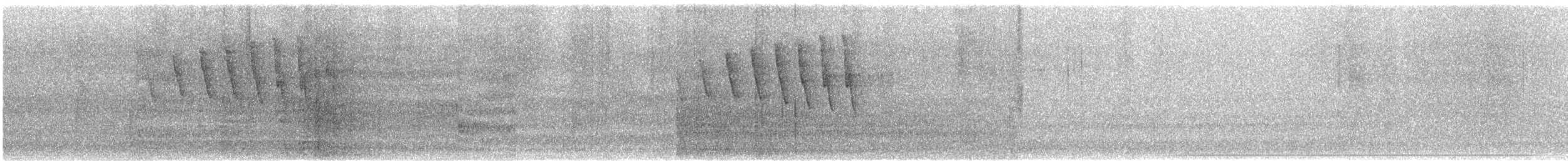 Paruline à calotte noire - ML646647545