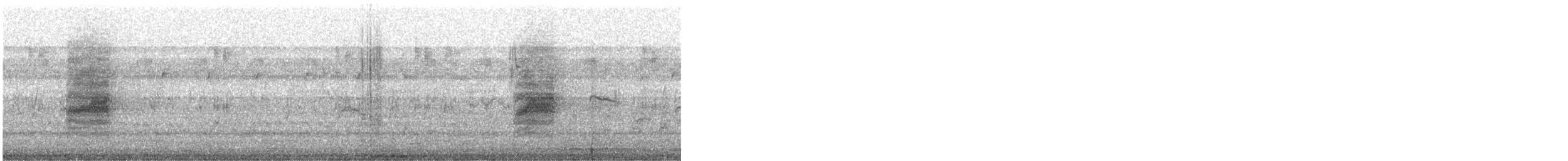 Long-tailed Shrike - ML646647607