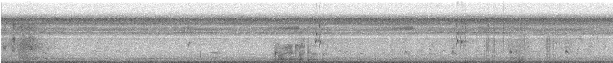 Pied Kingfisher - ML646647714