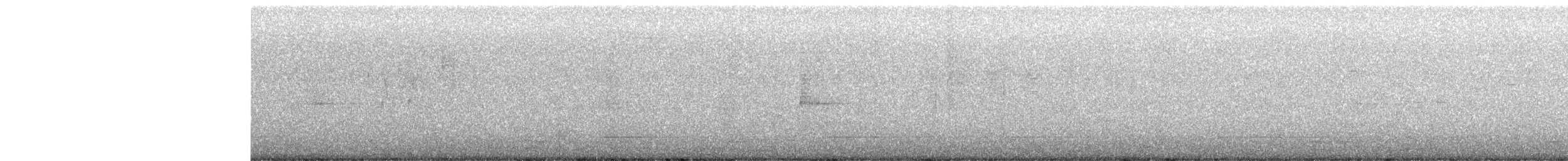 Hegaztia sp. - ML646648518