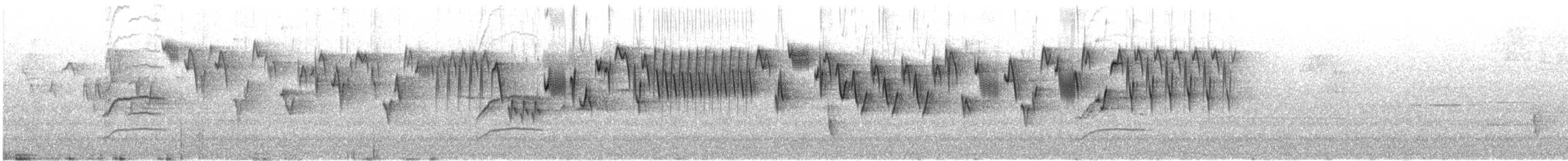 Hermit Thrush - ML646648519