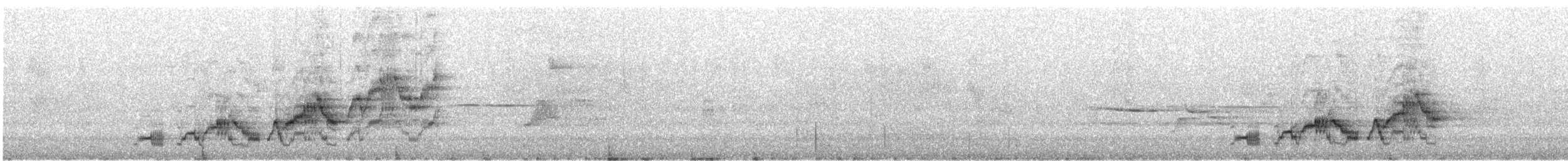 Swainson's Thrush (Russet-backed) - ML646648531