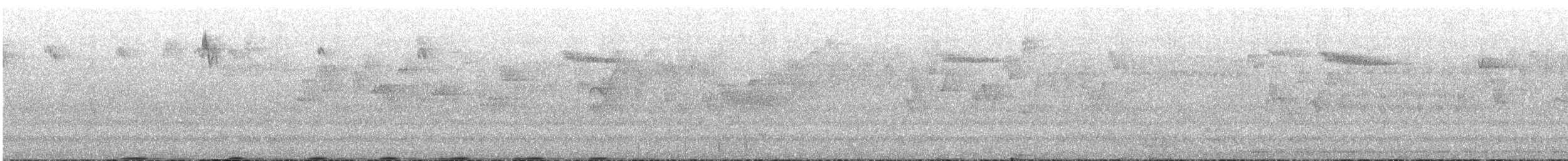 Sooty Grouse - ML646648546