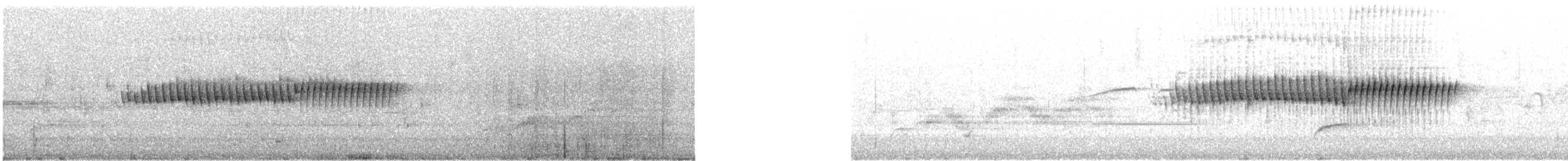 Orange-crowned Warbler - ML646648549