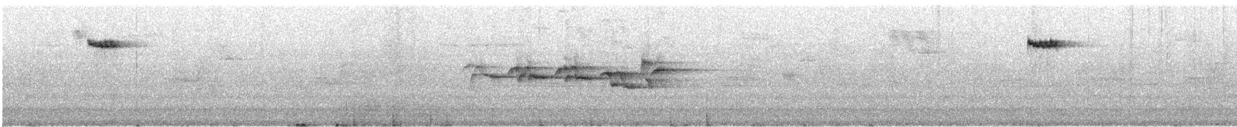 Brown Creeper - ML646648566