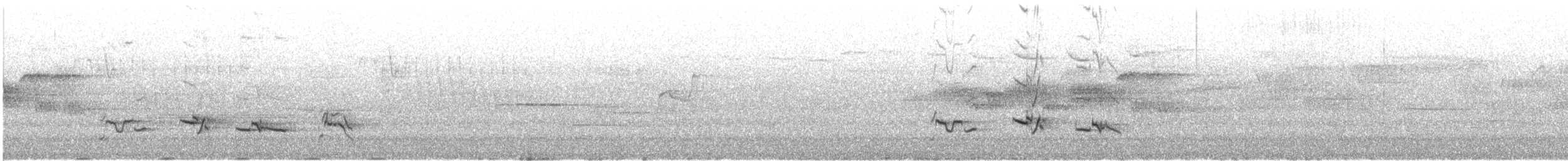 American Robin - ML646648570