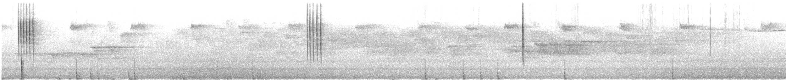 Pacific Wren - ML646648604