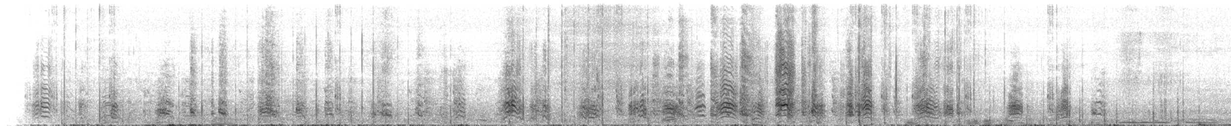 tučňák uzdičkový - ML646649575