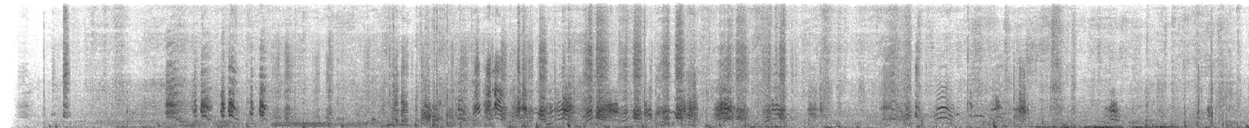 tučňák uzdičkový - ML646649576