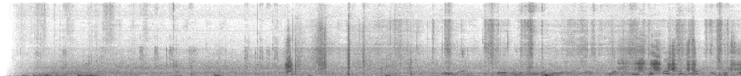 tučňák uzdičkový - ML646649582