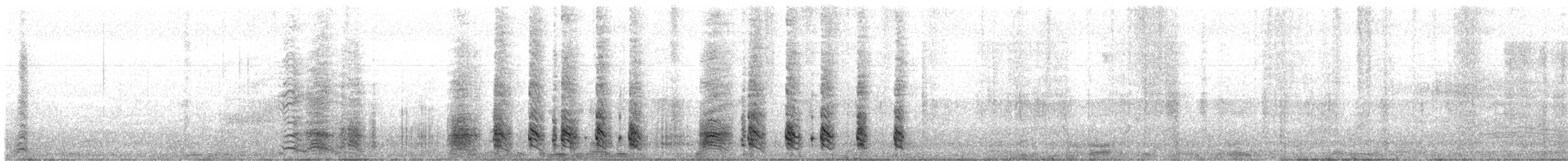 tučňák uzdičkový - ML646649584