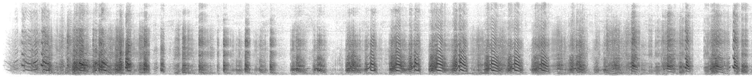 tučňák uzdičkový - ML646649585