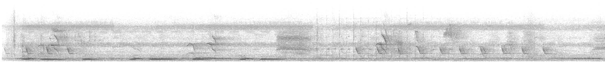 Eurasian Collared-Dove - ML646649645