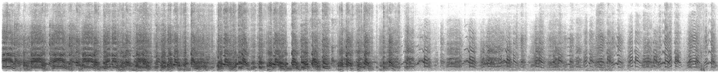 tučňák uzdičkový - ML646649661