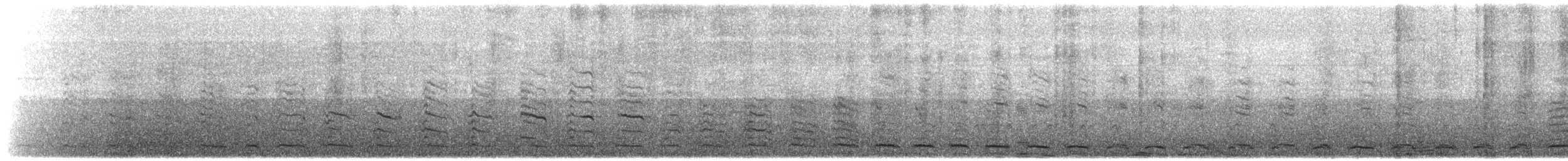 racek jižní (ssp. austrinus) - ML646649663