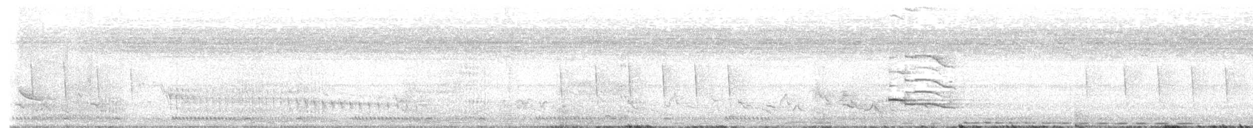 Coucal des papyrus - ML646649669