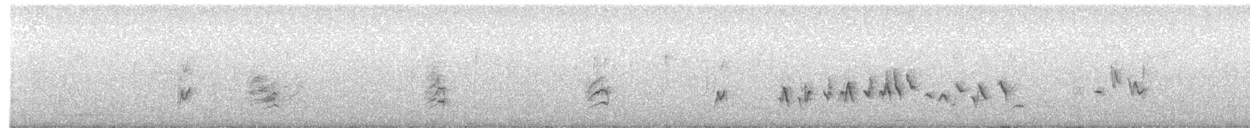 House Finch - ML646649679