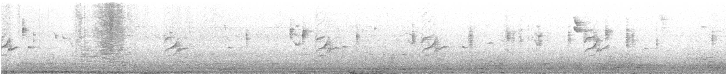 vrabec skalní - ML646649819