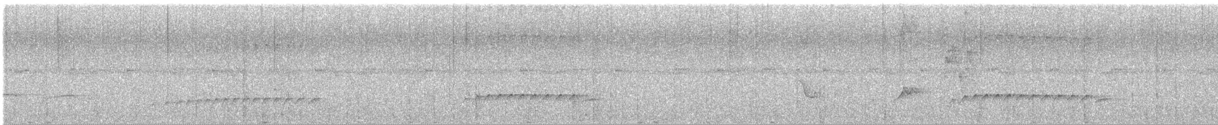 Gray-hooded Attila - ML646650366