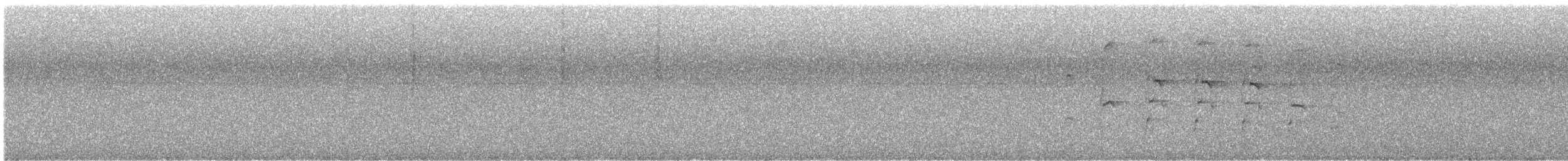 káně tmavá (ssp. anthracinus) - ML646650653