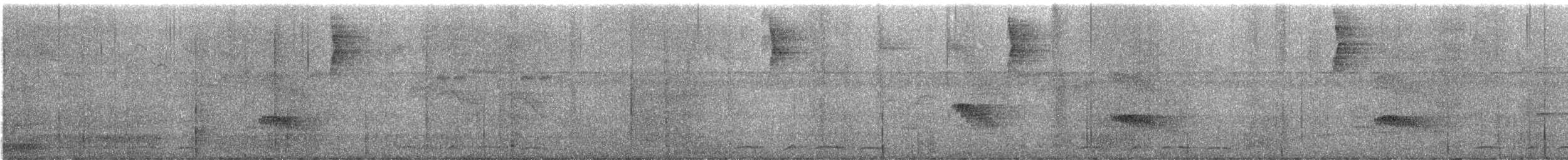 holub vínový (ssp. subvinacea/berlepschi) - ML646651264