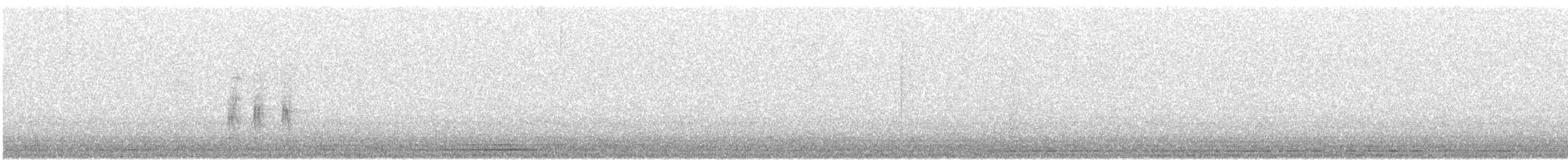 kos horský - ML646651920