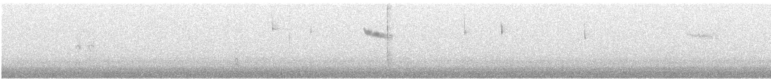 kos horský - ML646652075