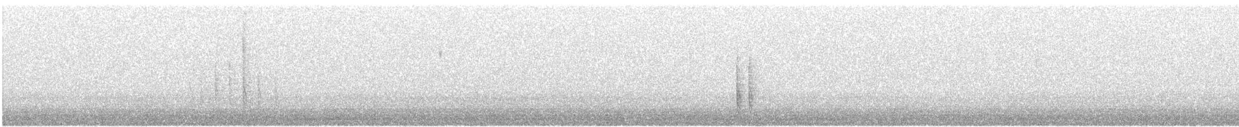 kos horský - ML646652076