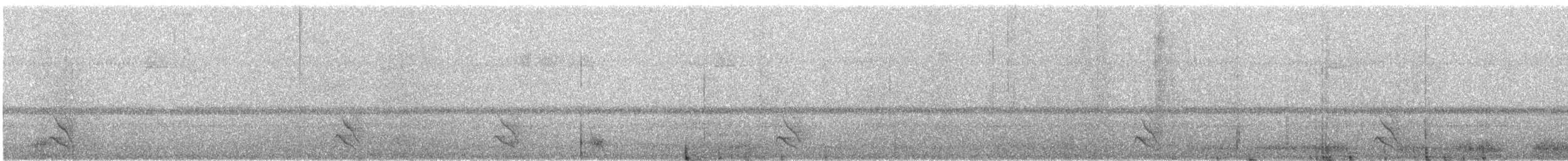 Nariño Tapaculo - ML646652103