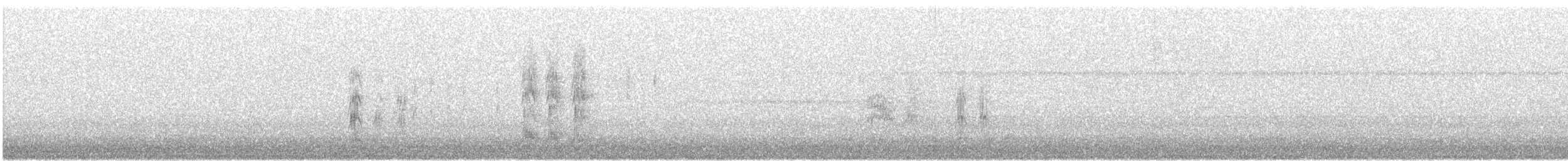 kos horský - ML646652160