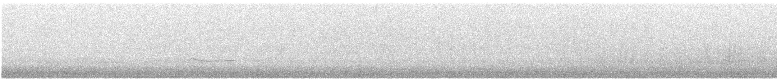 Black-bellied Plover - ML646652215