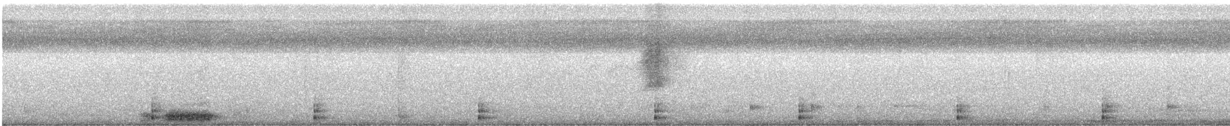 Podargo Australiano - ML646653035