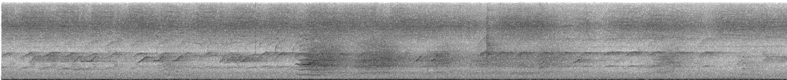 Little Corella - ML646653160