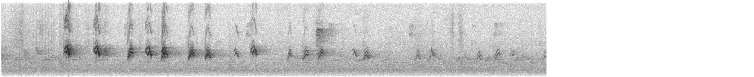 Burugorri arrunta - ML646654029