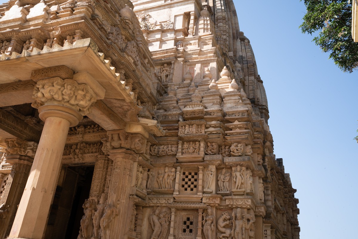 Spotted Owlet - ML646654109