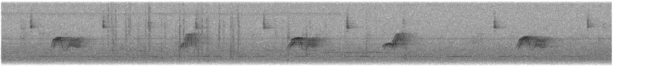 Eastern Phoebe - ML646654173