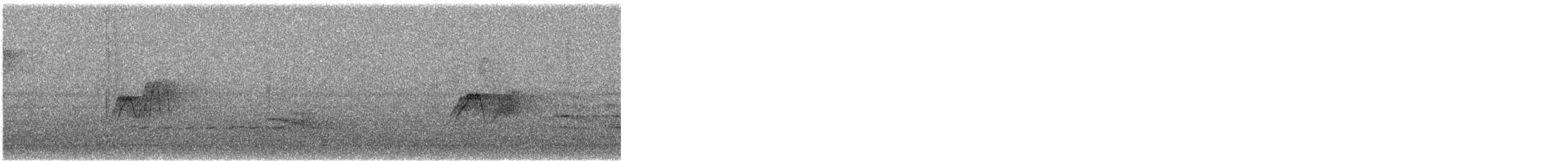 Eastern Phoebe - ML646654174